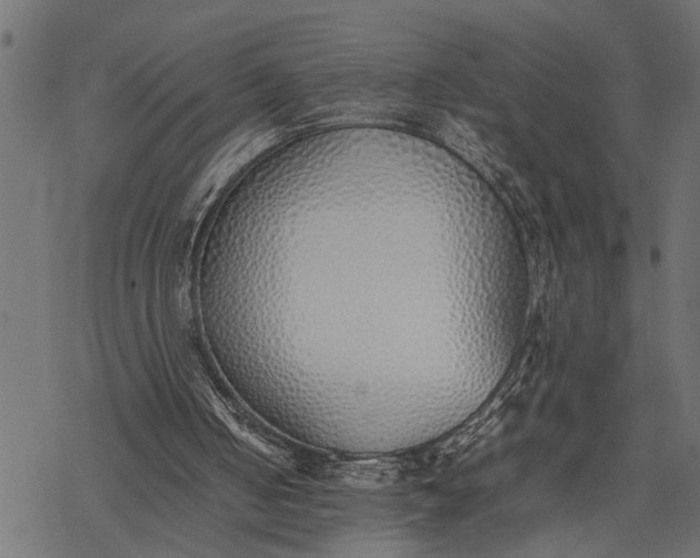 X0000077280050200611031535