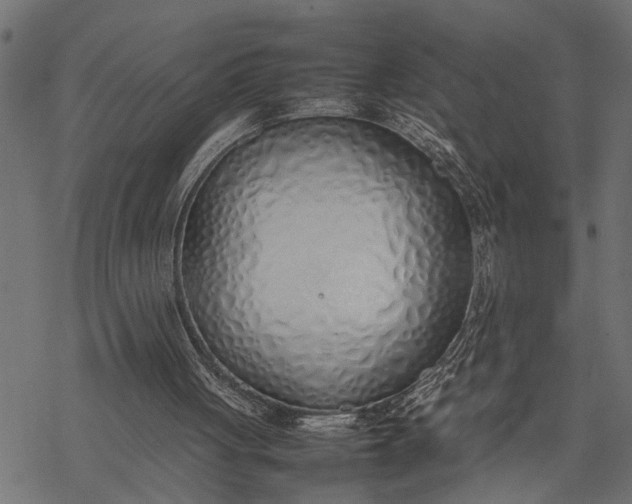 X0000077280051200611031535