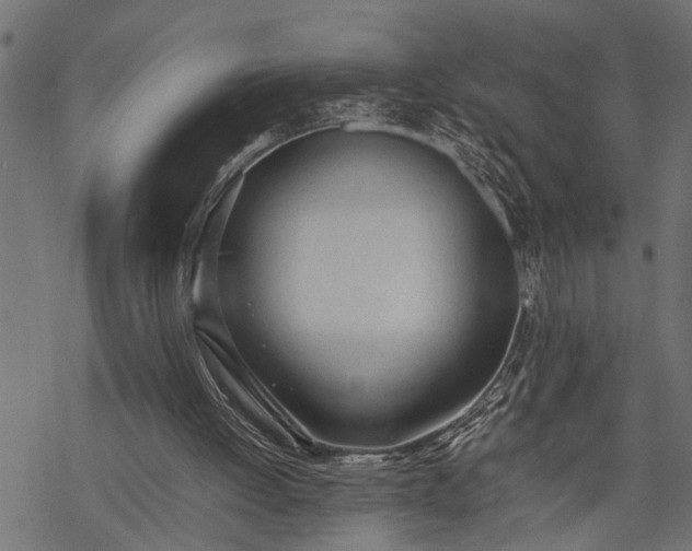 X0000077280052200611031535