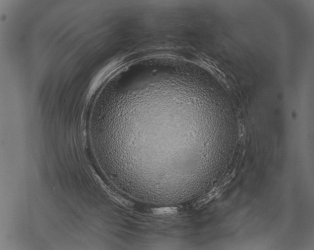 X0000077280053200611031535