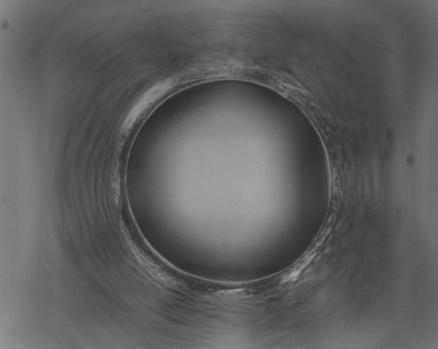 X0000077280054200611031535