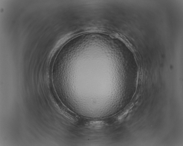 X0000077280055200611031535