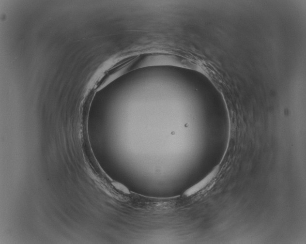 X0000077280056200611031535