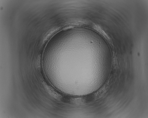 X0000077280058200611031535