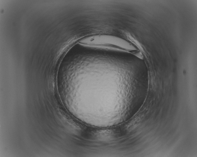 X0000077280059200611031535