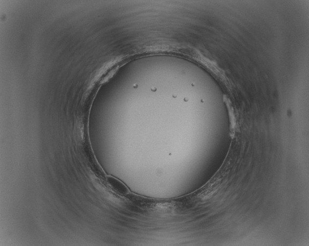 X0000077280060200611031535