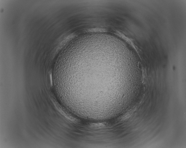 X0000077280061200611031535