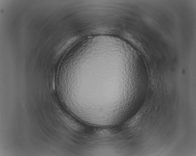 X0000077280062200611031535