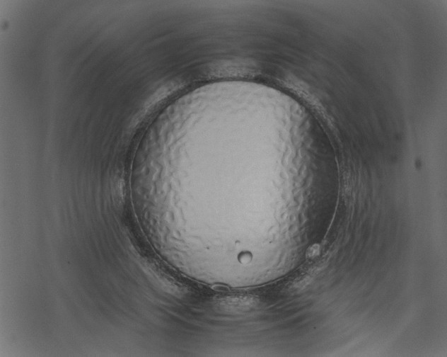 X0000077280063200611031535