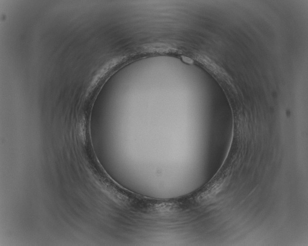 X0000077280064200611031535