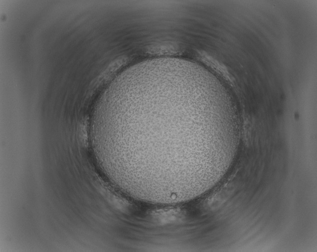 X0000077280065200611031535