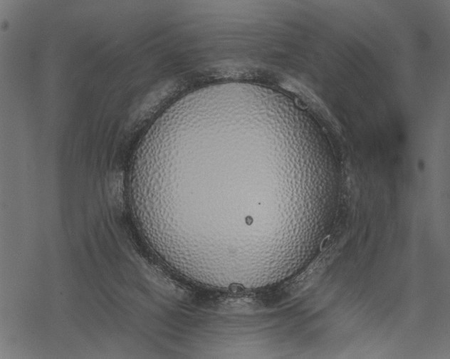 X0000077280066200611031536