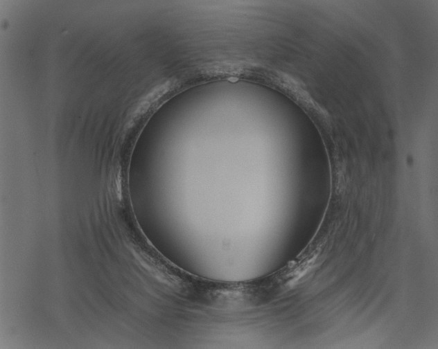 X0000077280068200611031536