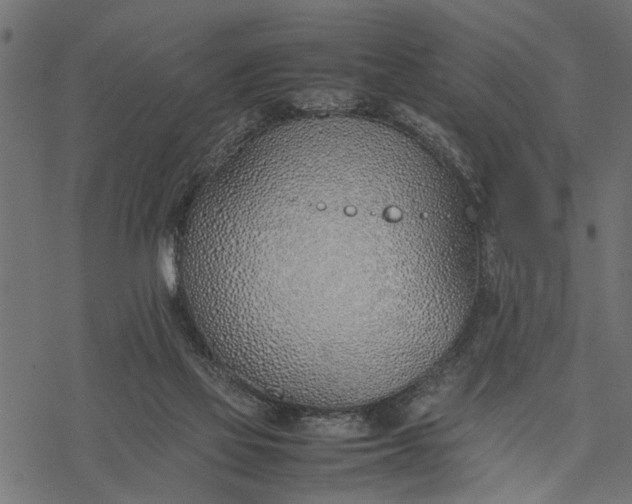 X0000077280069200611031536