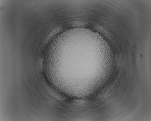 X0000077280071200611031536