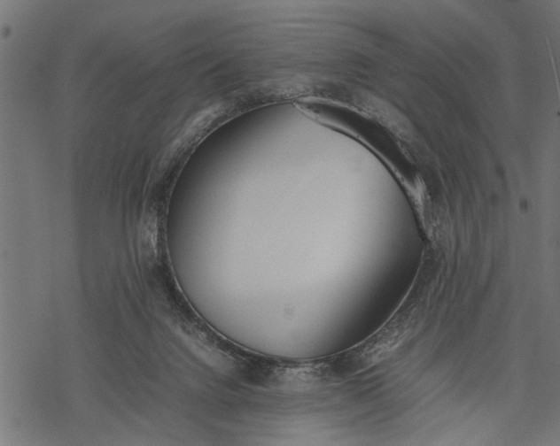 X0000077280072200611031536