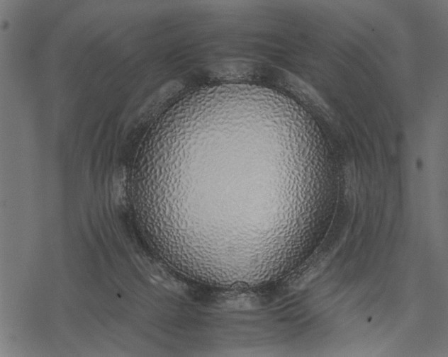 X0000077280073200611031536