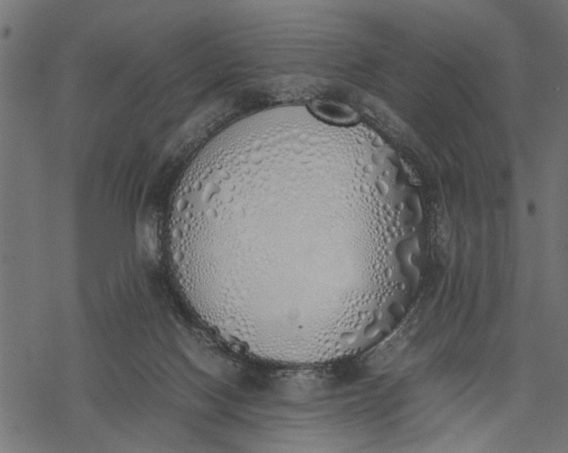 X0000077280074200611031536