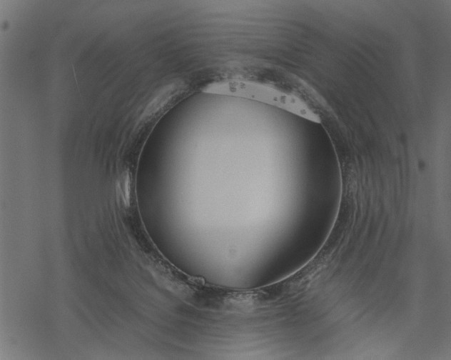 X0000077280076200611031536