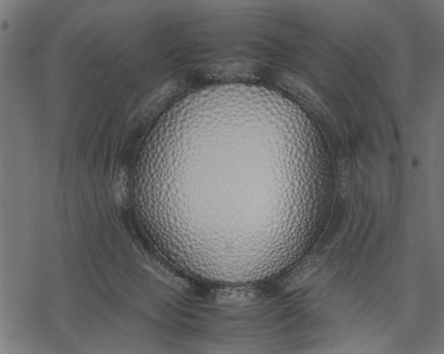 X0000077280077200611031536