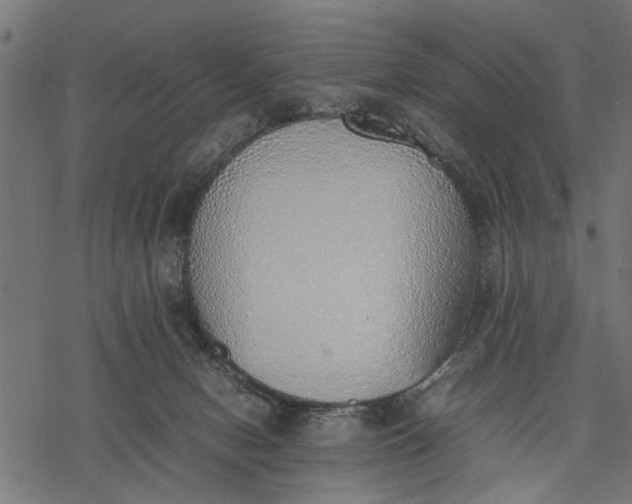 X0000077280078200611031536