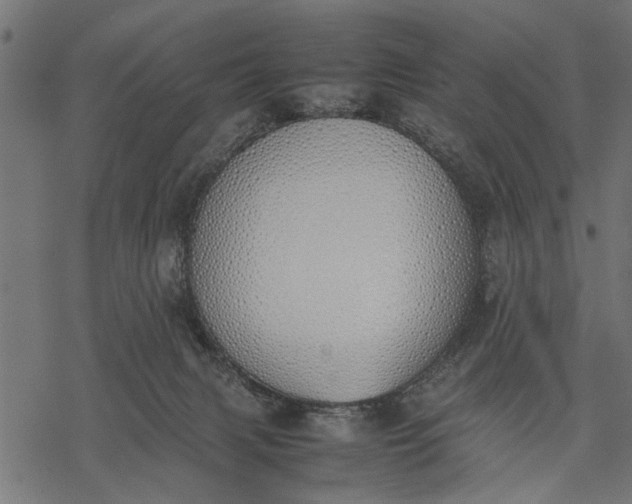 X0000077280079200611031536