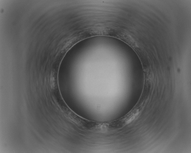 X0000077280080200611031536