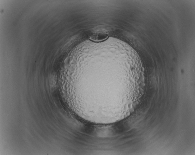 X0000077280081200611031536