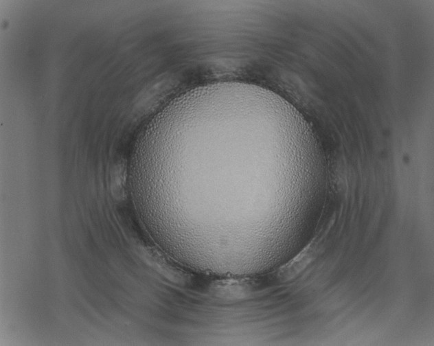 X0000077280082200611031536