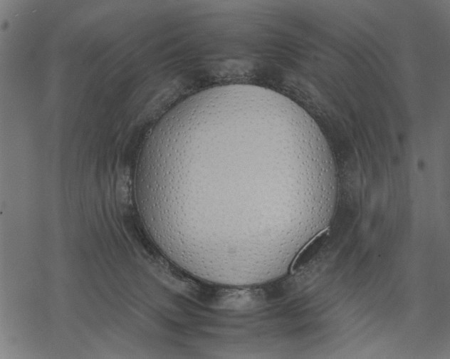 X0000077280083200611031536