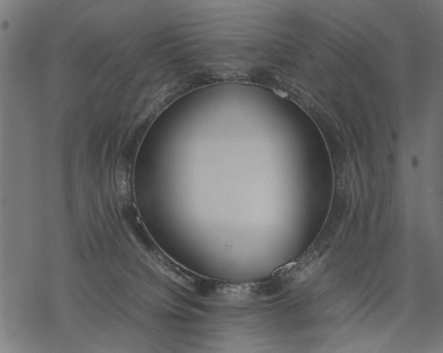 X0000077280084200611031536