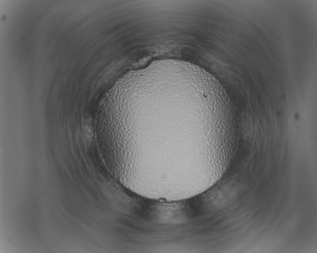 X0000077280085200611031536