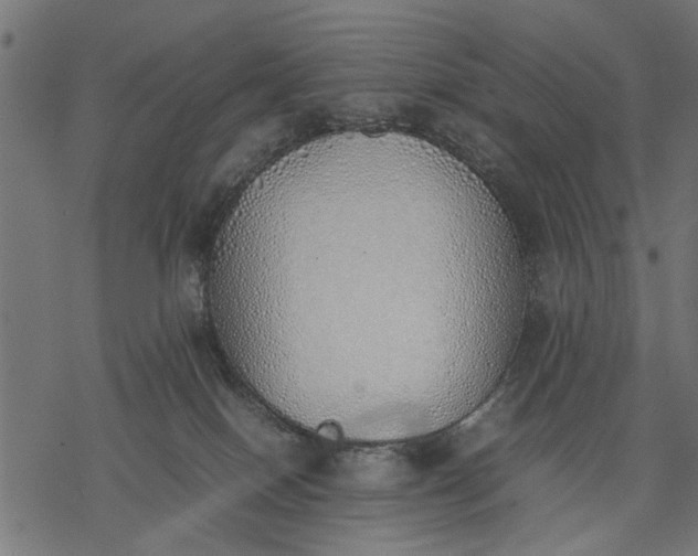 X0000077280086200611031536