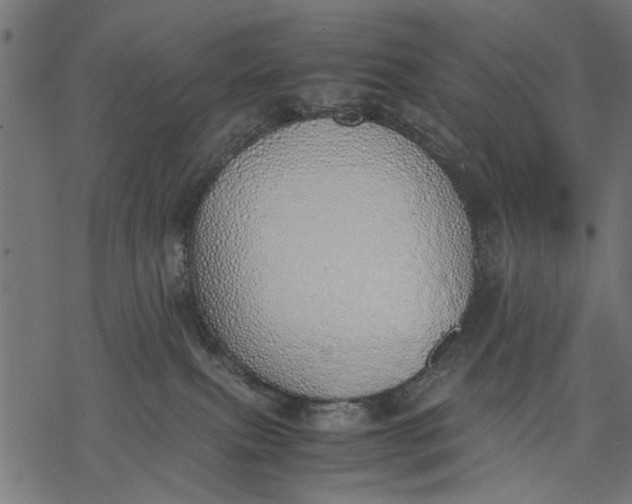 X0000077280087200611031536