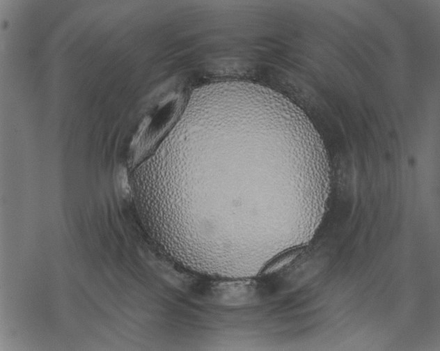 X0000077280089200611031536