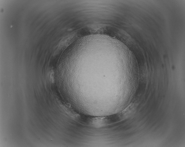 X0000077280090200611031536