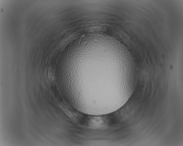 X0000077280091200611031536