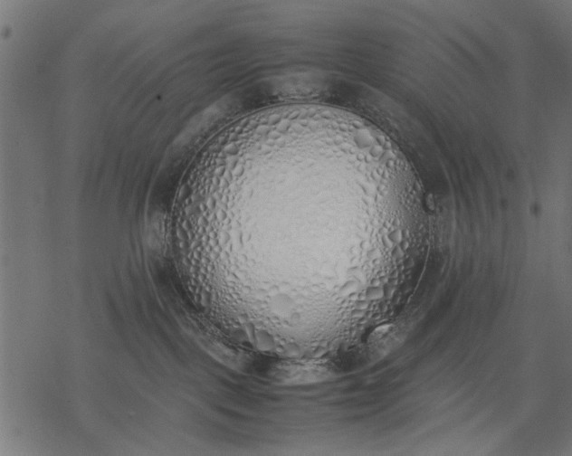 X0000077280093200611031536