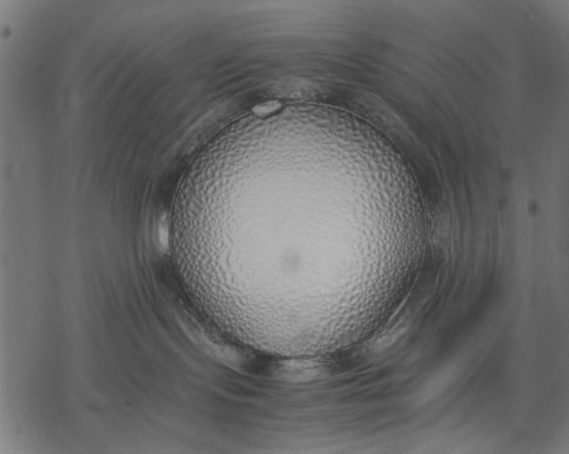 X0000077280095200611031536