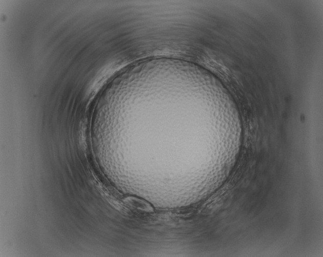 X0000077280098200611031535