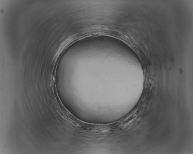 X0000077280099200611031535