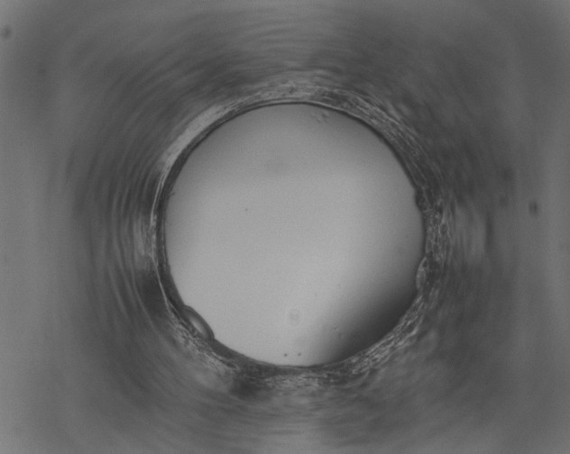 X0000077280100200611031535