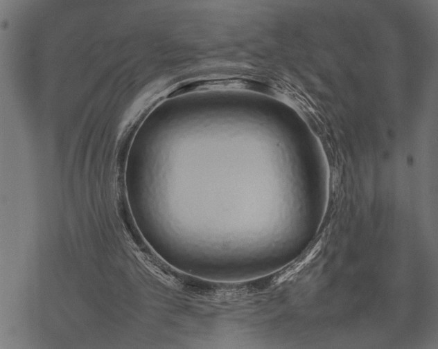 X0000077280101200611031535