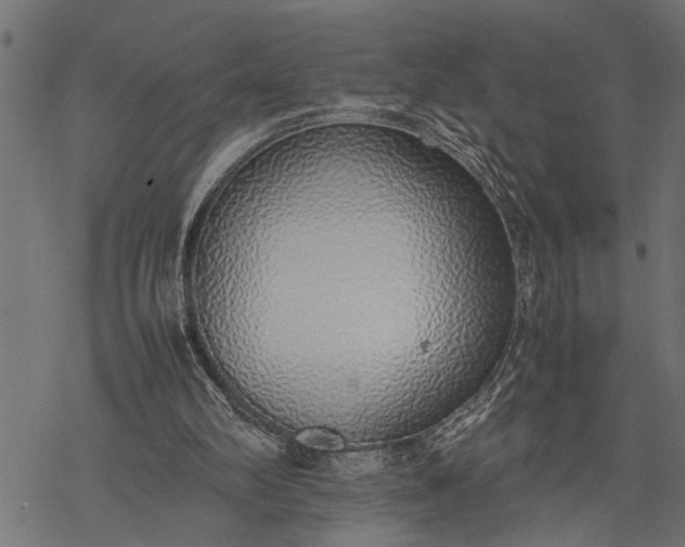 X0000077280102200611031535