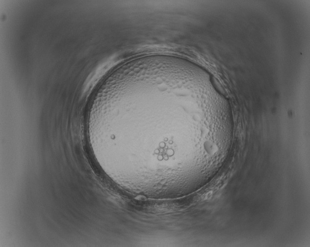 X0000077280103200611031535