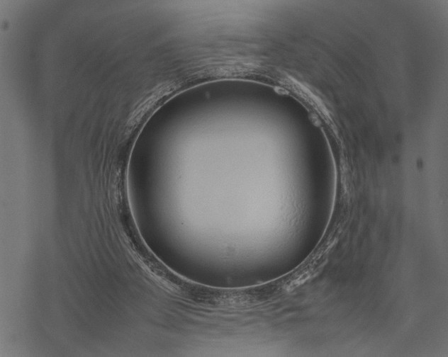 X0000077280105200611031535