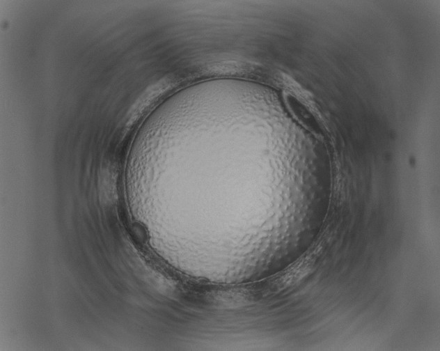 X0000077280106200611031535