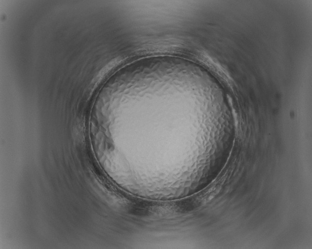 X0000077280107200611031535