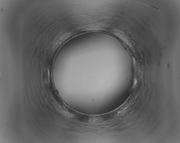 X0000077280109200611031535