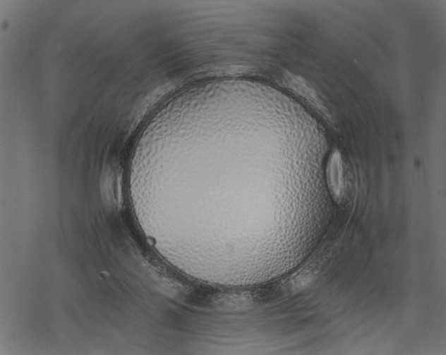 X0000077280110200611031535